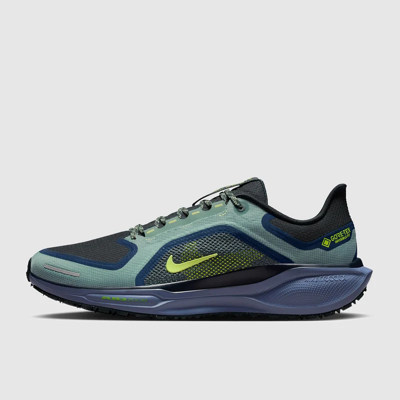 Nike Wasserdichter Straßenlaufschuh (Herren) Pegasus 41 GORE