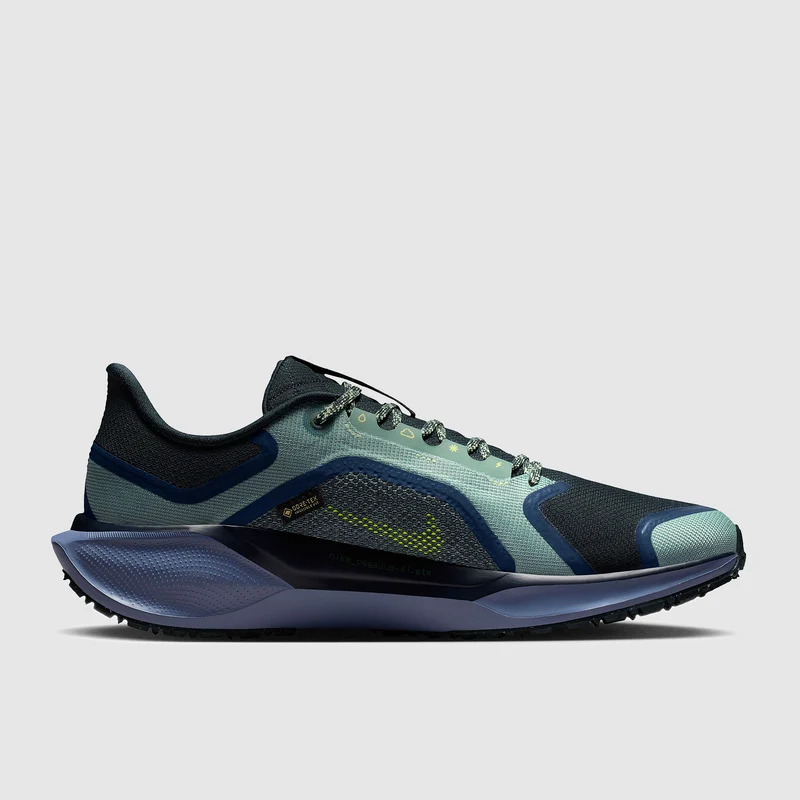 Nike Wasserdichter Straßenlaufschuh (Herren) Pegasus 41 GORE