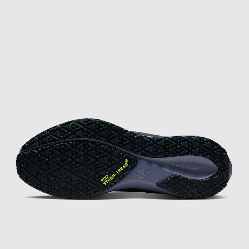 Nike Wasserdichter Straßenlaufschuh (Herren) Pegasus 41 GORE