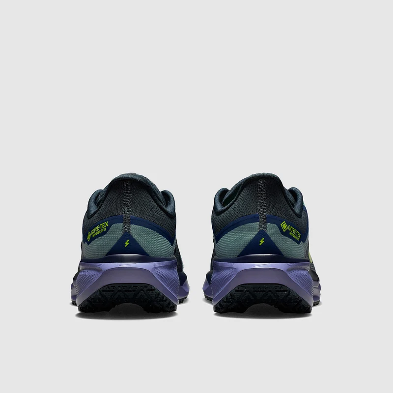 Nike Wasserdichter Straßenlaufschuh (Herren) Pegasus 41 GORE
