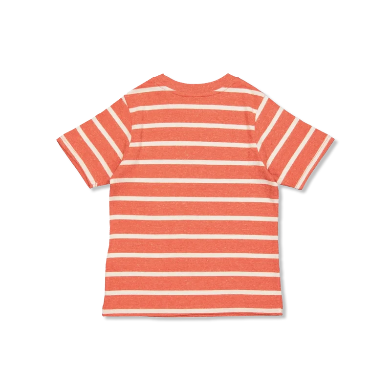 Striped t-Shirt