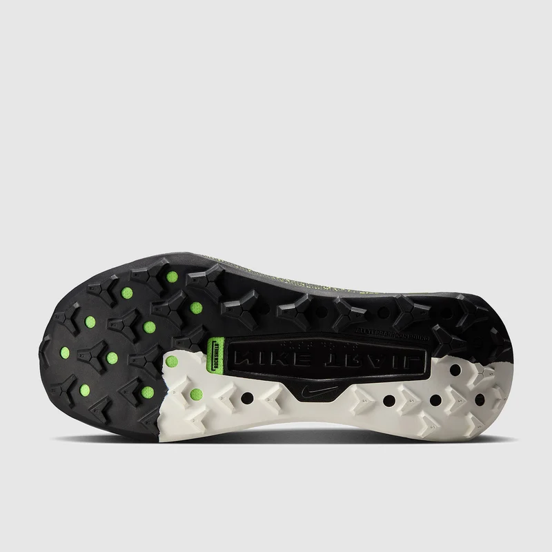 Nike Traillaufschuh (Herren) Wildhorse 10