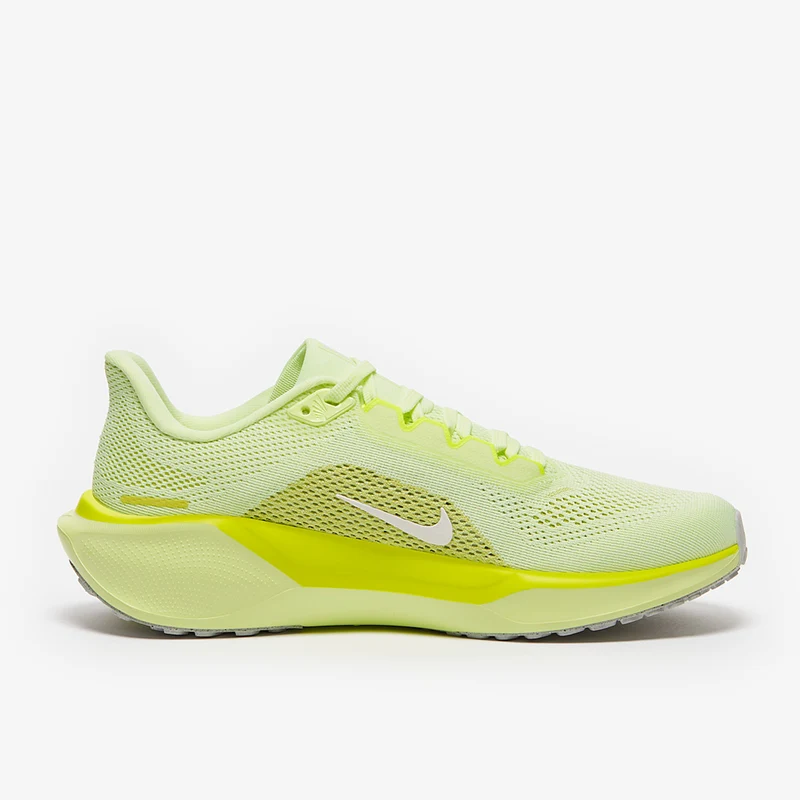 Nike Straßenlaufschuh (Damen) Pegasus 41