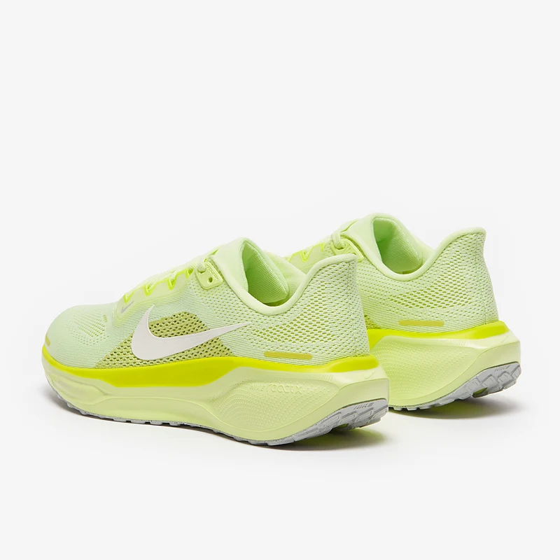 Nike Straßenlaufschuh (Damen) Pegasus 41