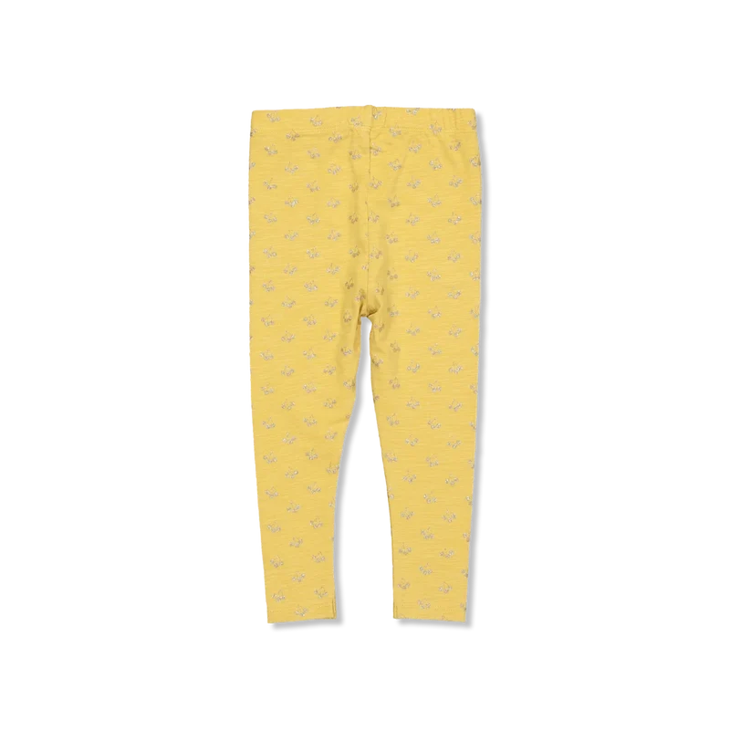 Lily spiel
