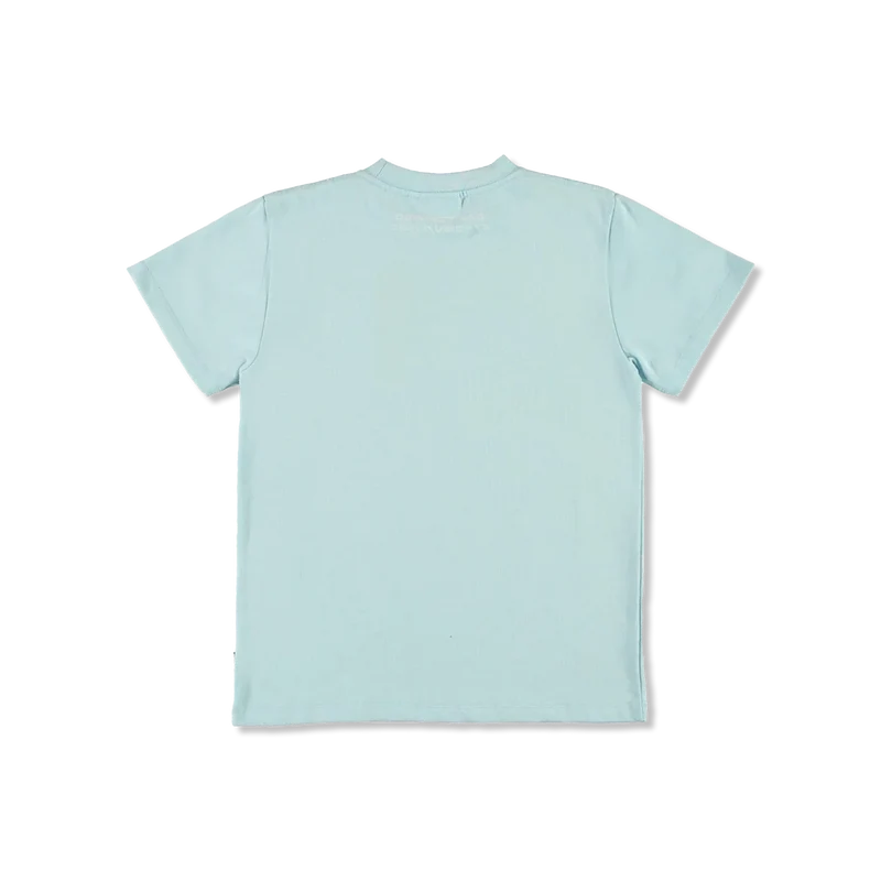 Roxo t-Shirt