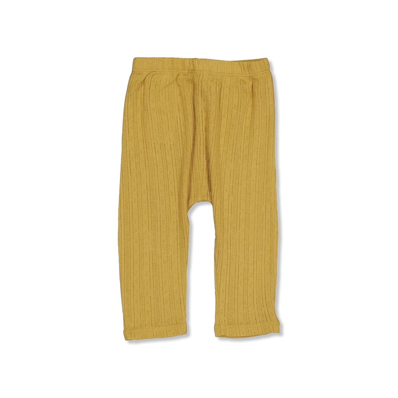 NBFRACHEL hose