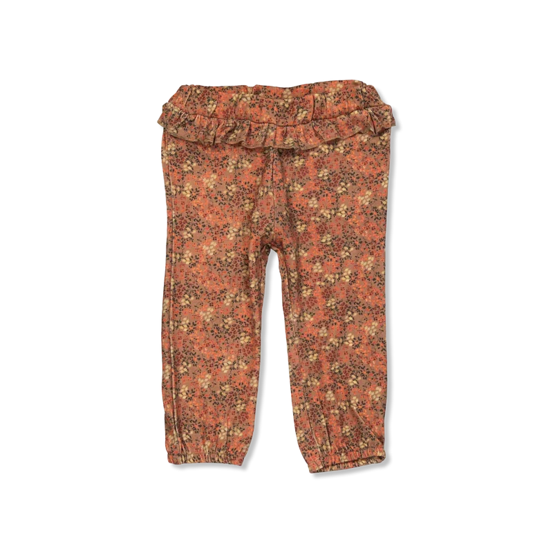 NBFSACHA hose