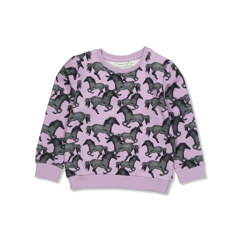NMFSACHA sweatshirts