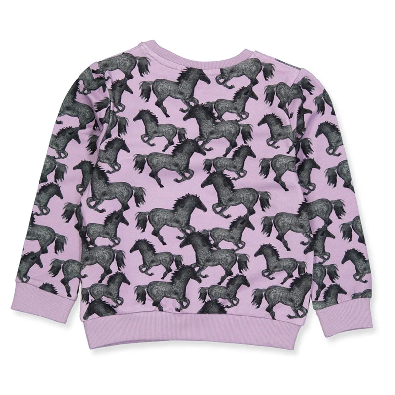 NMFSACHA sweatshirts