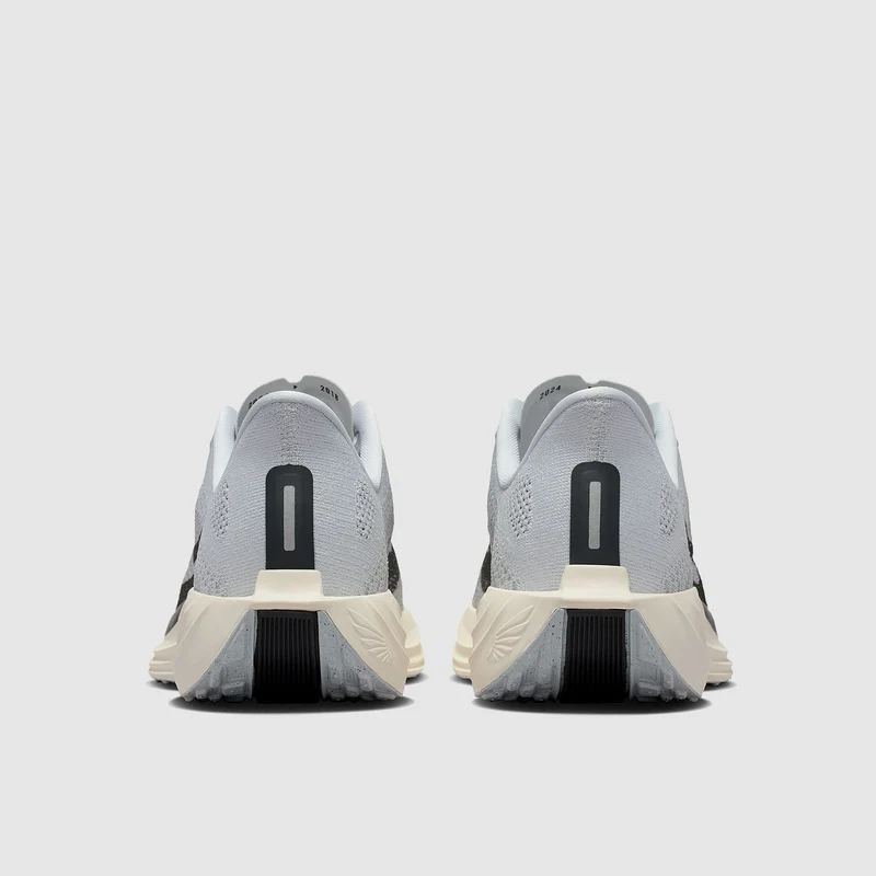 Nike Straßenlaufschuh (Herren) Pegasus Plus