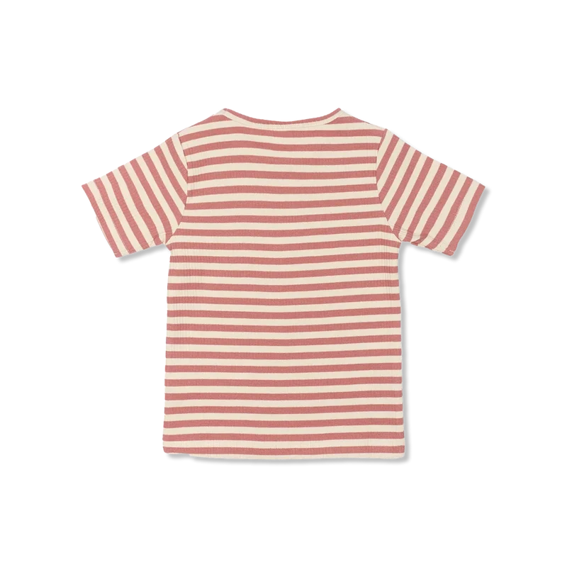 TNSTFro t-Shirt