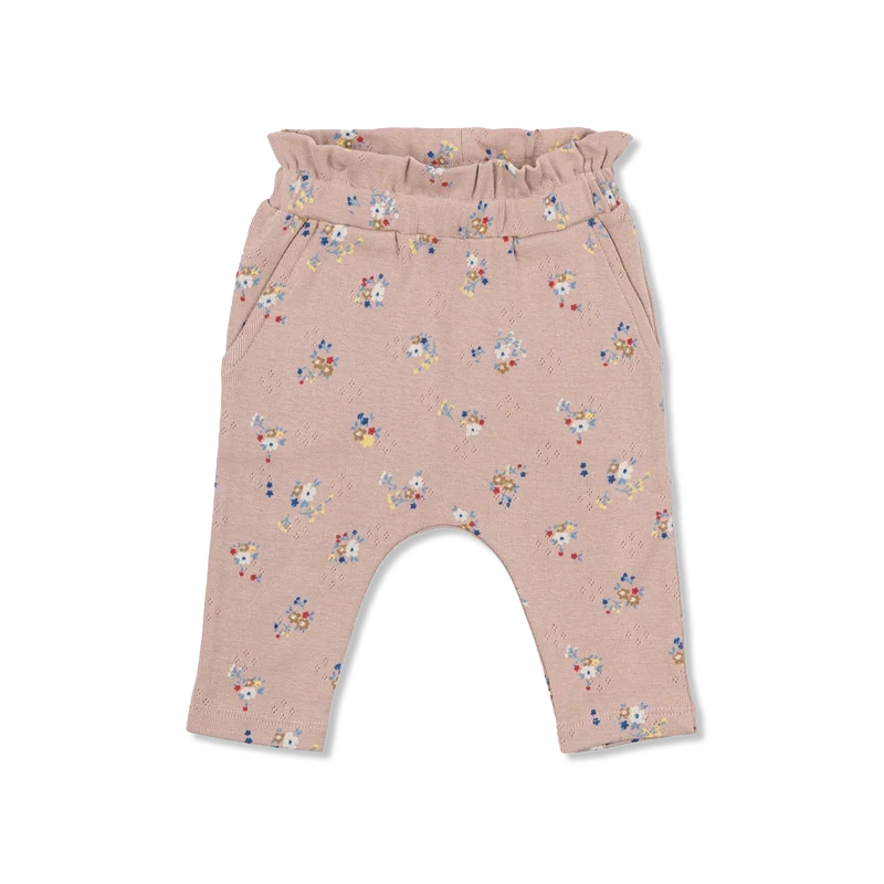 TNSBNicole hose