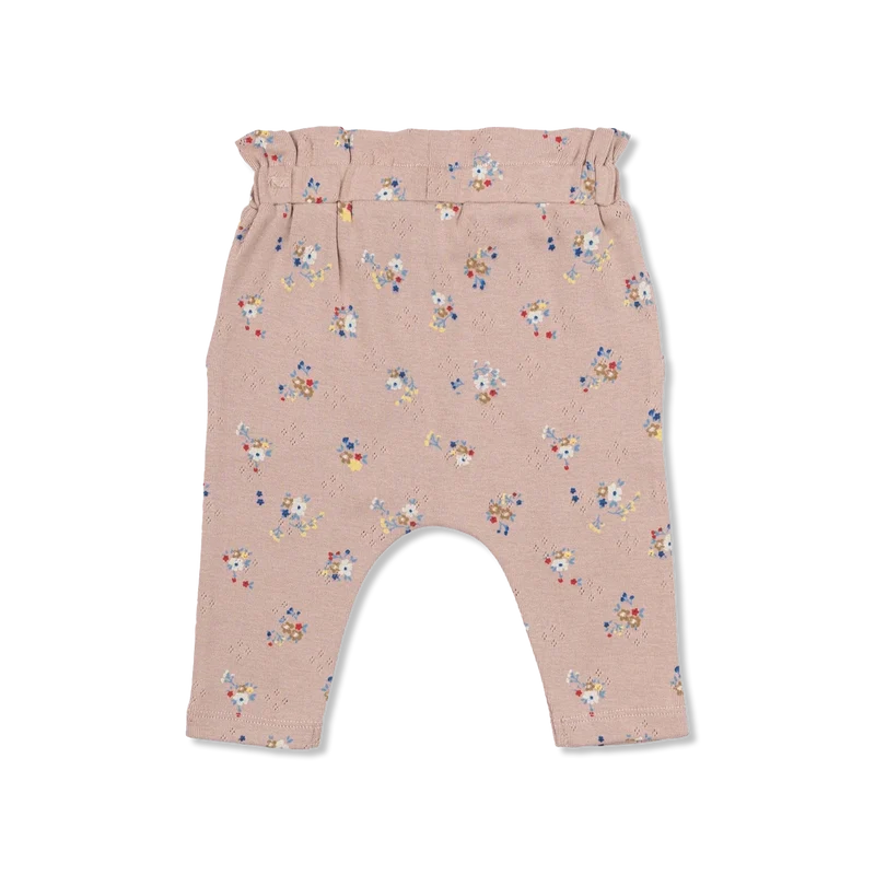 TNSBNicole hose