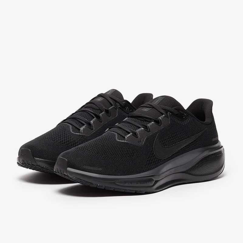 Nike Straßenlaufschuh (Herren) Pegasus 41