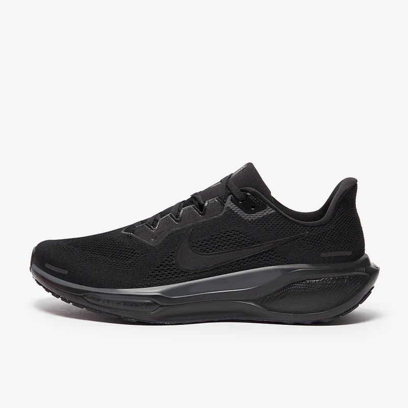Nike Straßenlaufschuh (Herren) Pegasus 41