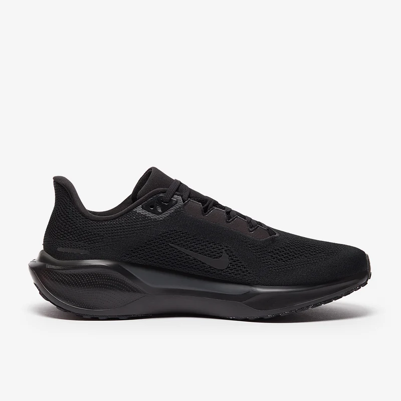 Nike Straßenlaufschuh (Herren) Pegasus 41