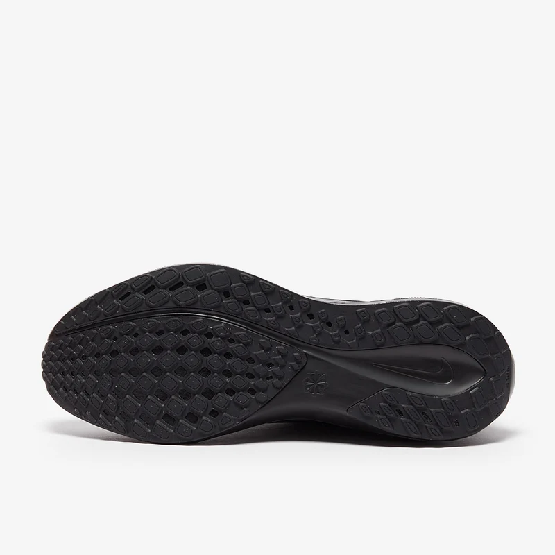 Nike Straßenlaufschuh (Herren) Pegasus 41