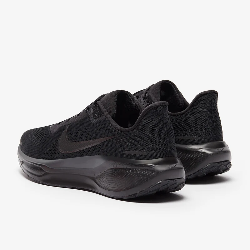 Nike Straßenlaufschuh (Herren) Pegasus 41