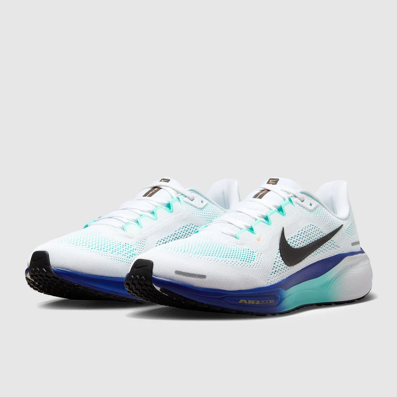 Nike Straßenlaufschuh (Herren) Pegasus 41