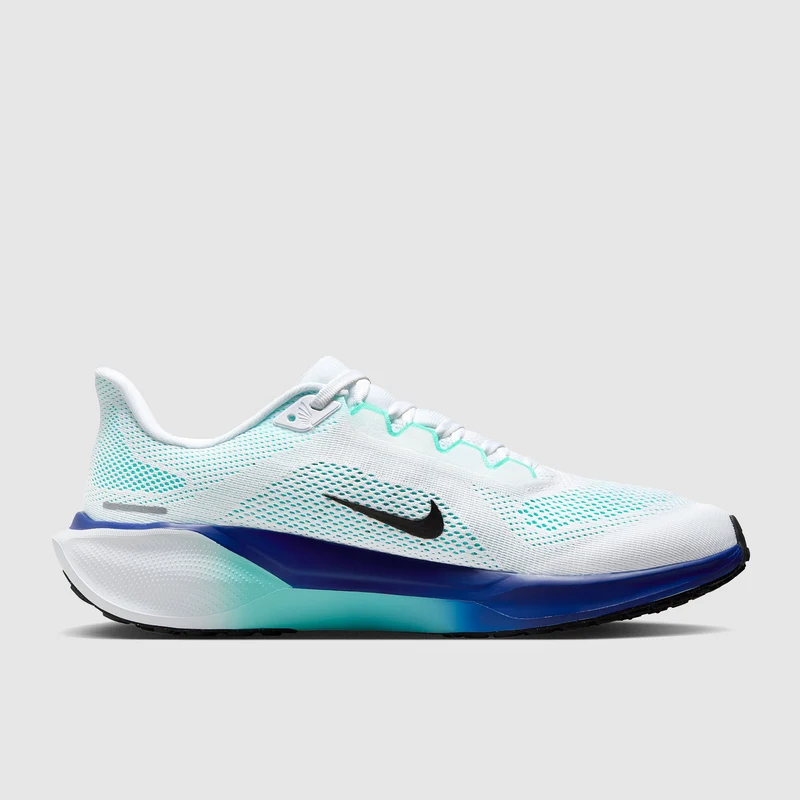 Nike Straßenlaufschuh (Herren) Pegasus 41