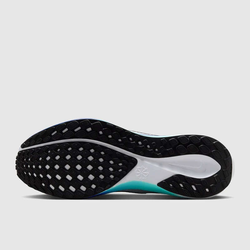 Nike Straßenlaufschuh (Herren) Pegasus 41