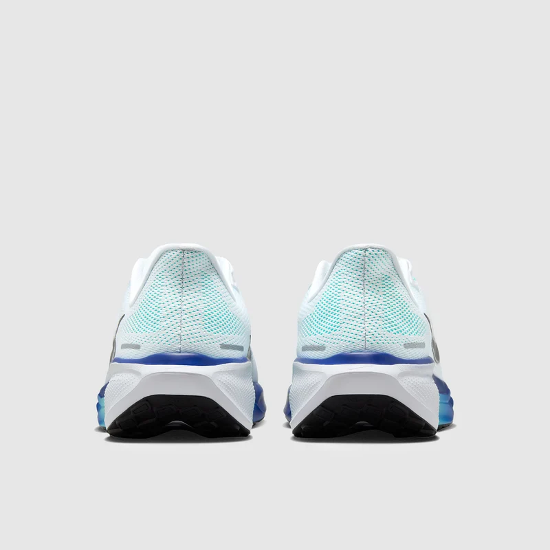 Nike Straßenlaufschuh (Herren) Pegasus 41