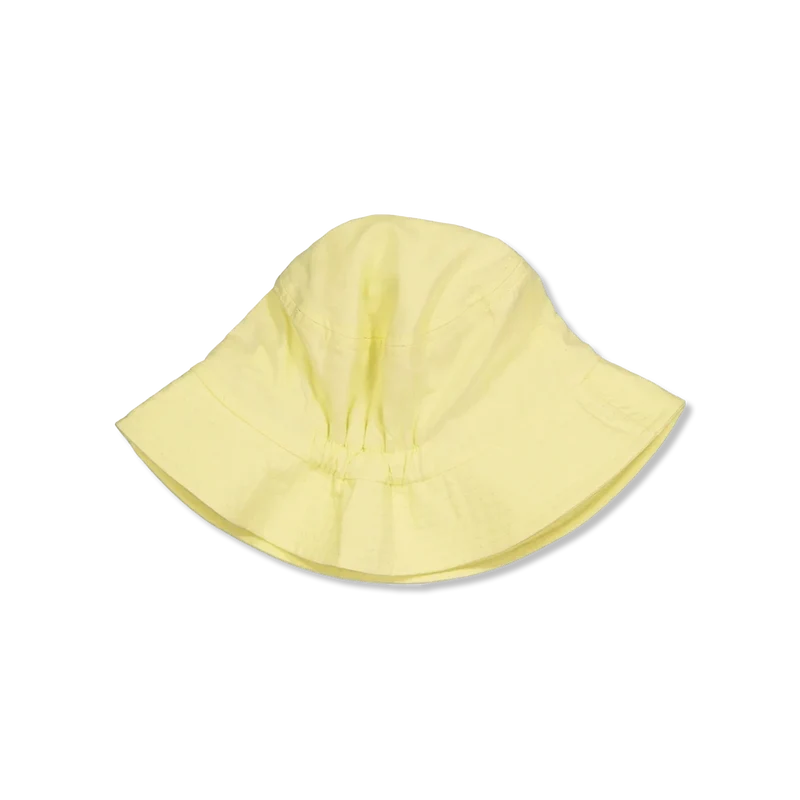 NMFFILLIPA sonnenhut