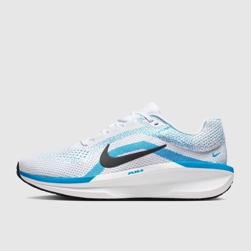 Nike Straßenlaufschuh (Herren) Winflo 11