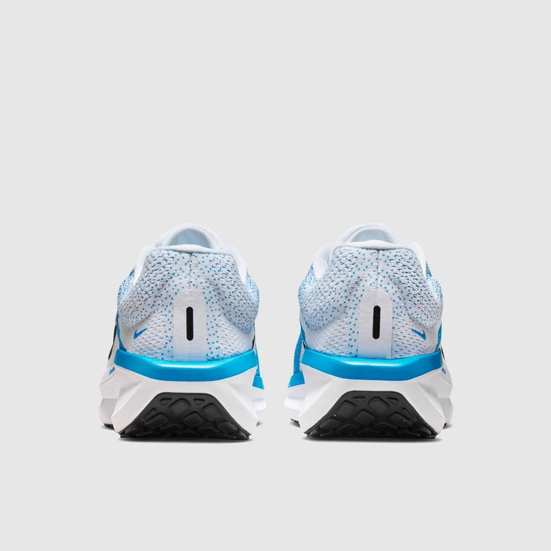Nike Straßenlaufschuh (Herren) Winflo 11