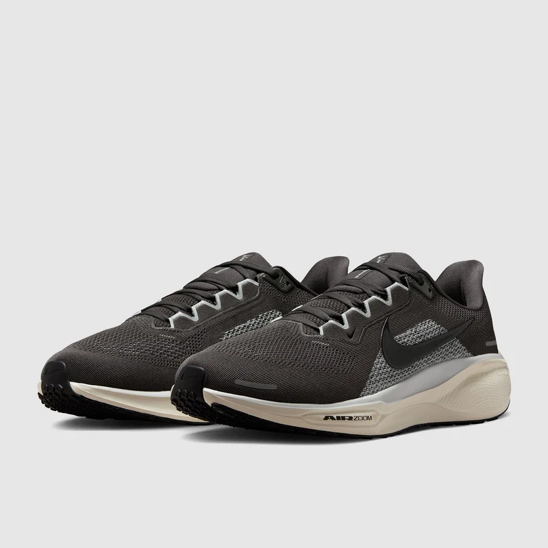 Nike Straßenlaufschuh (Herren) Pegasus 41
