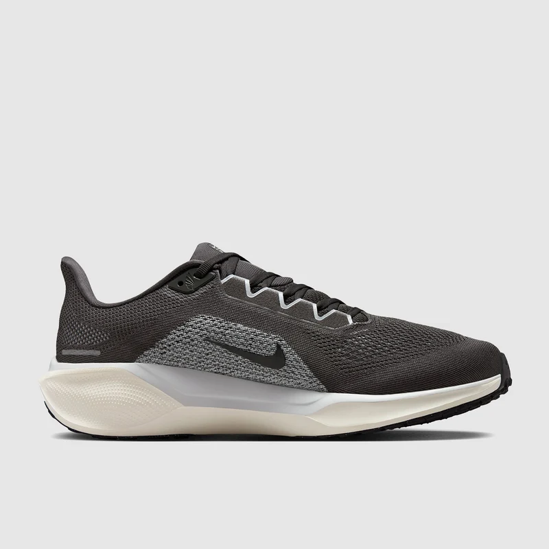 Nike Straßenlaufschuh (Herren) Pegasus 41