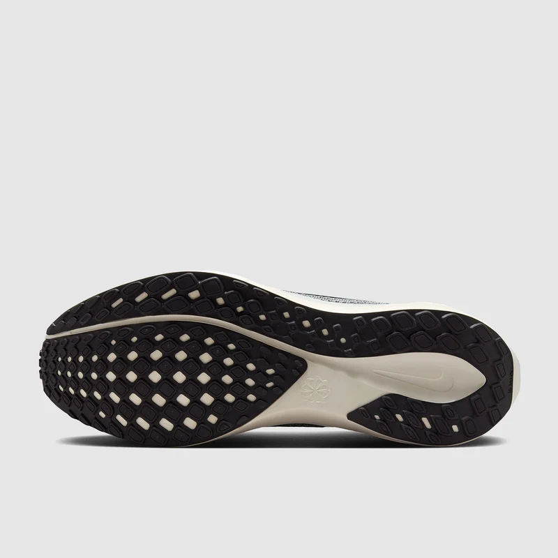 Nike Straßenlaufschuh (Herren) Pegasus 41