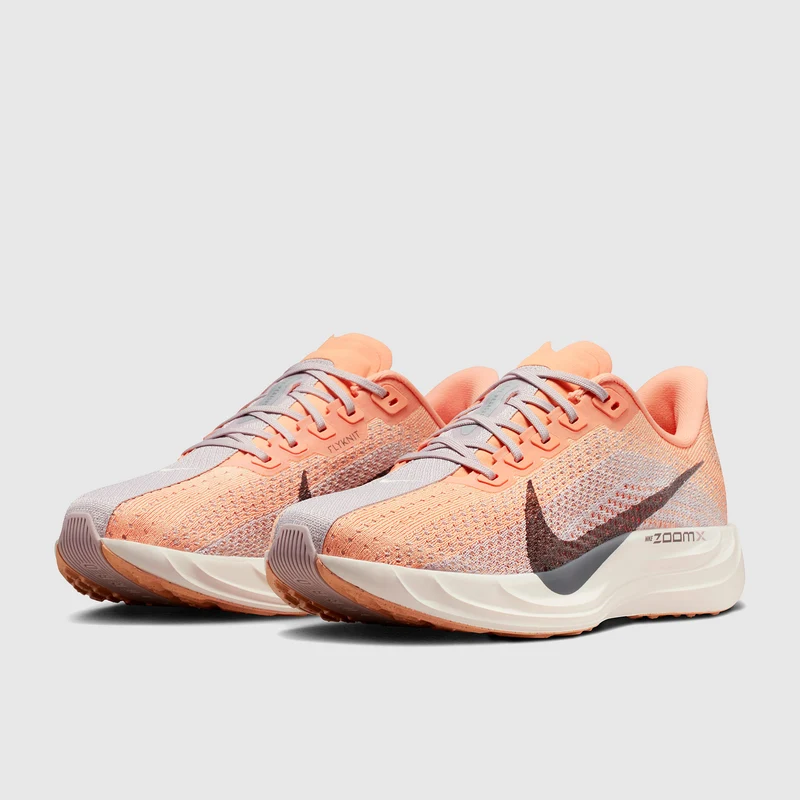Nike Straßenlaufschuh (Damen) Pegasus Plus