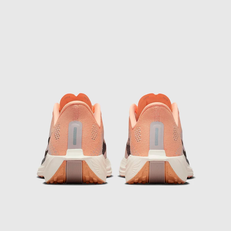 Nike Straßenlaufschuh (Damen) Pegasus Plus