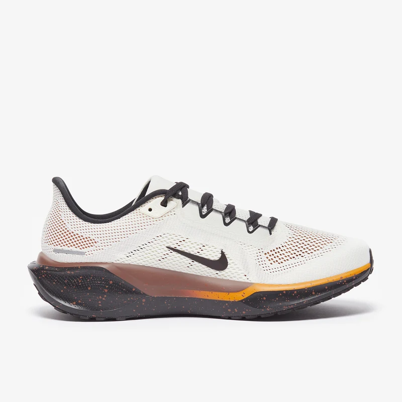 Nike Straßenlaufschuh (Herren) Pegasus 41