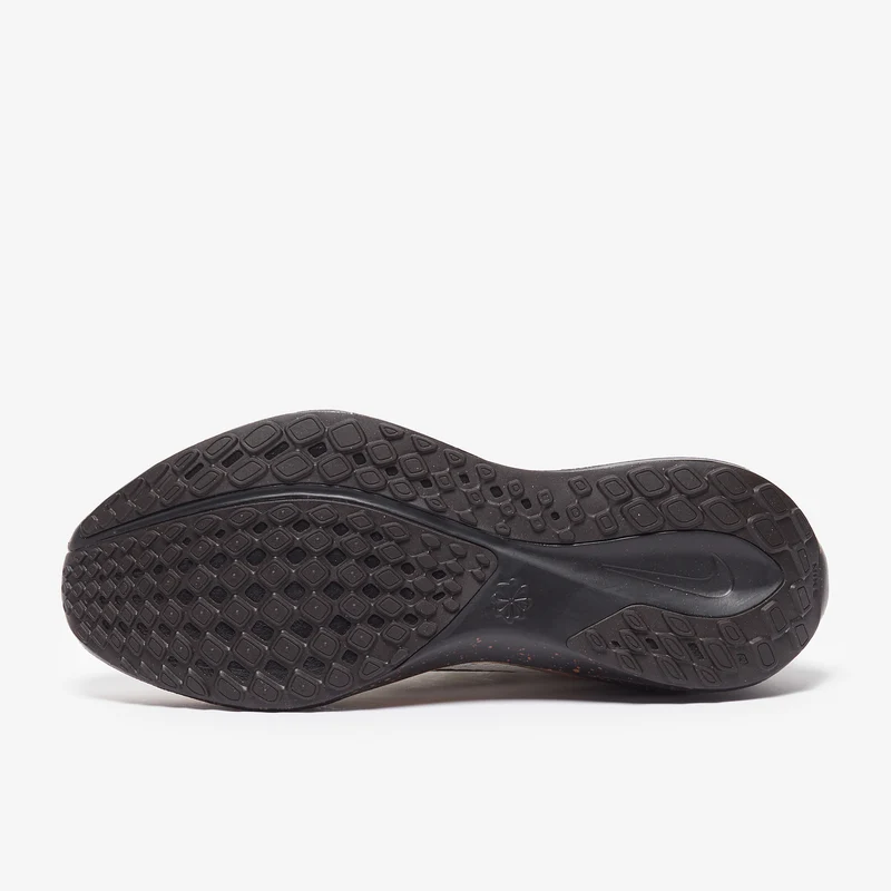 Nike Straßenlaufschuh (Herren) Pegasus 41
