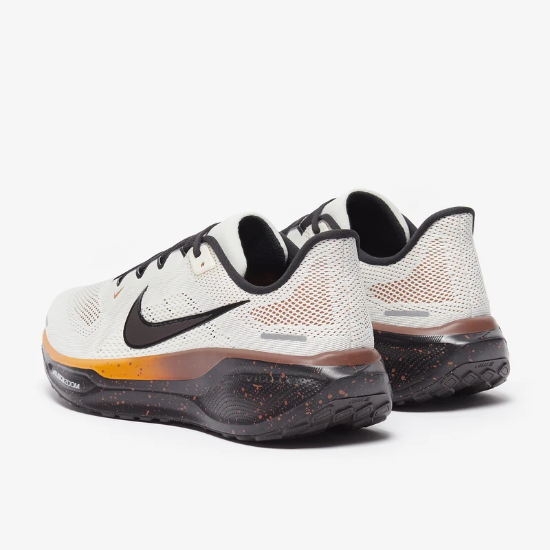 Nike Straßenlaufschuh (Herren) Pegasus 41