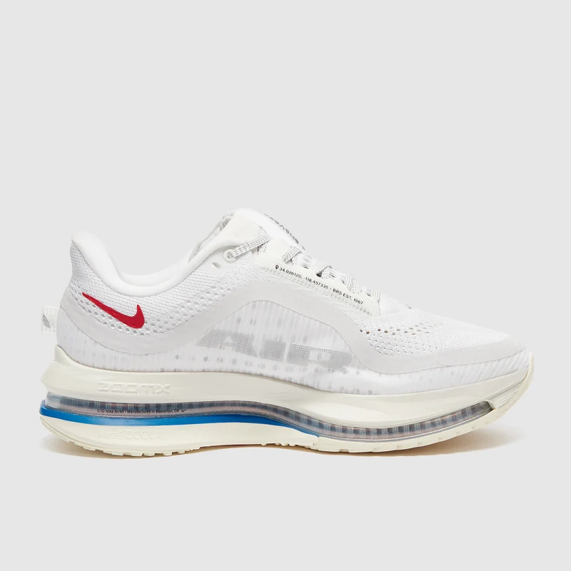Nike Straßenlaufschuh (Damen) Pegasus Premium