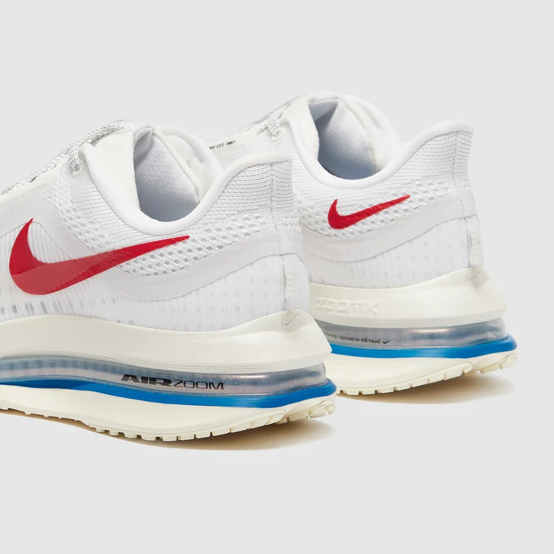 Nike Straßenlaufschuh (Damen) Pegasus Premium