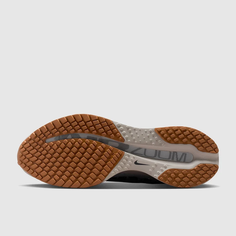 Nike Straßenlaufschuh (Herren) Pegasus Premium