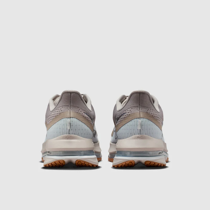 Nike Straßenlaufschuh (Herren) Pegasus Premium