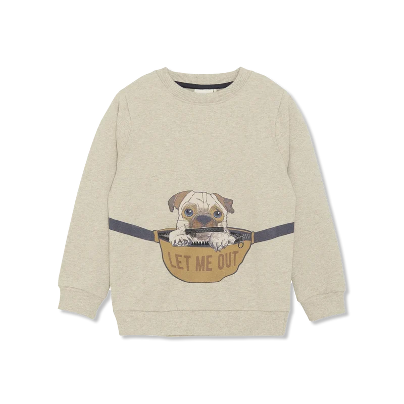 sweatshirt