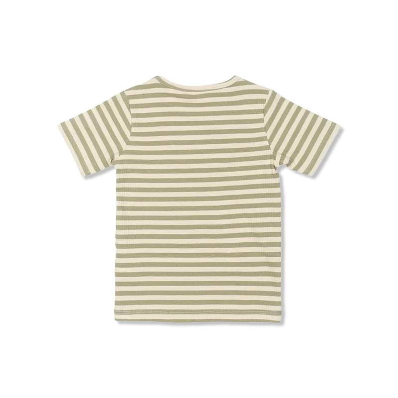 TNSTFro t-Shirt