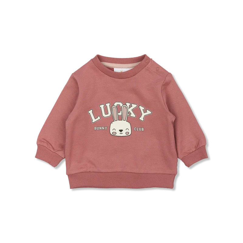 TNSBPheba sweatshirts