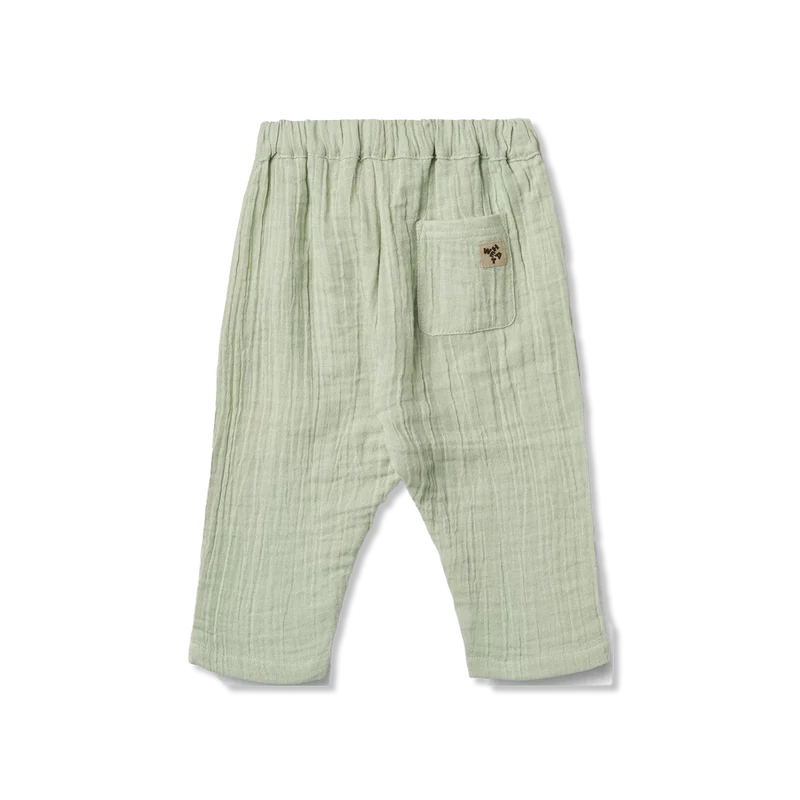 Ashley hose