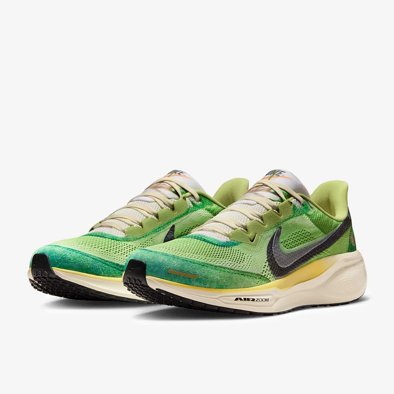 Nike Straßenlaufschuh (Herren) Pegasus 41 SE