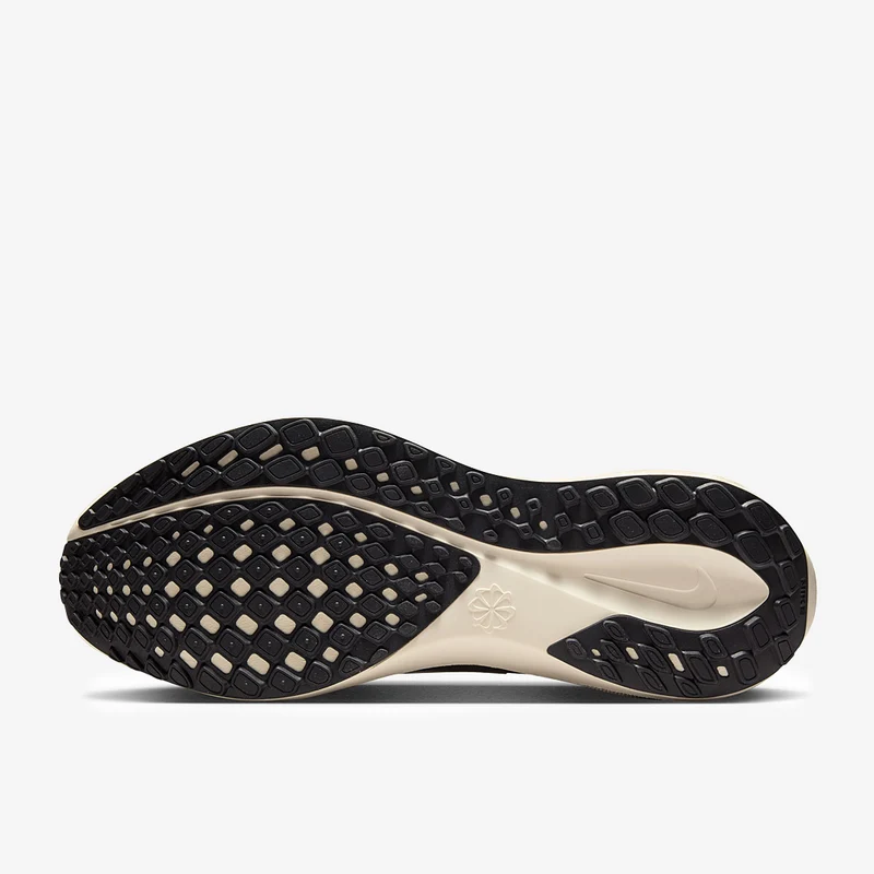 Nike Straßenlaufschuh (Herren) Pegasus 41 SE