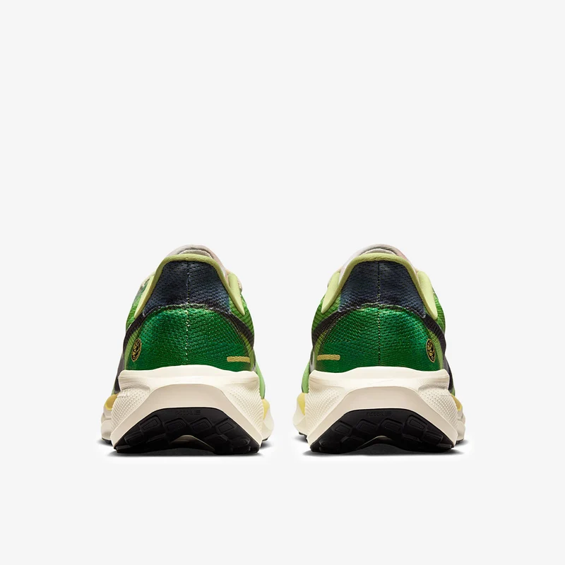 Nike Straßenlaufschuh (Herren) Pegasus 41 SE