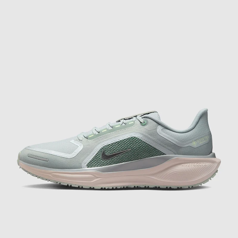 Nike Wasserdichter Straßenlaufschuh (Herren) Pegasus 41 GORE